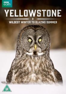Yellowstone - Wildest Winter to Blazing Summer